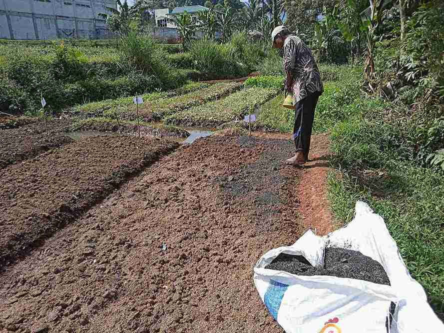 Surface broadcasting, one of the methods to effectively apply biochar