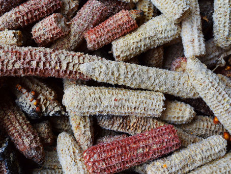 Don't Toss Those Cobs! 8 Unexpected Uses of Corn Cobs