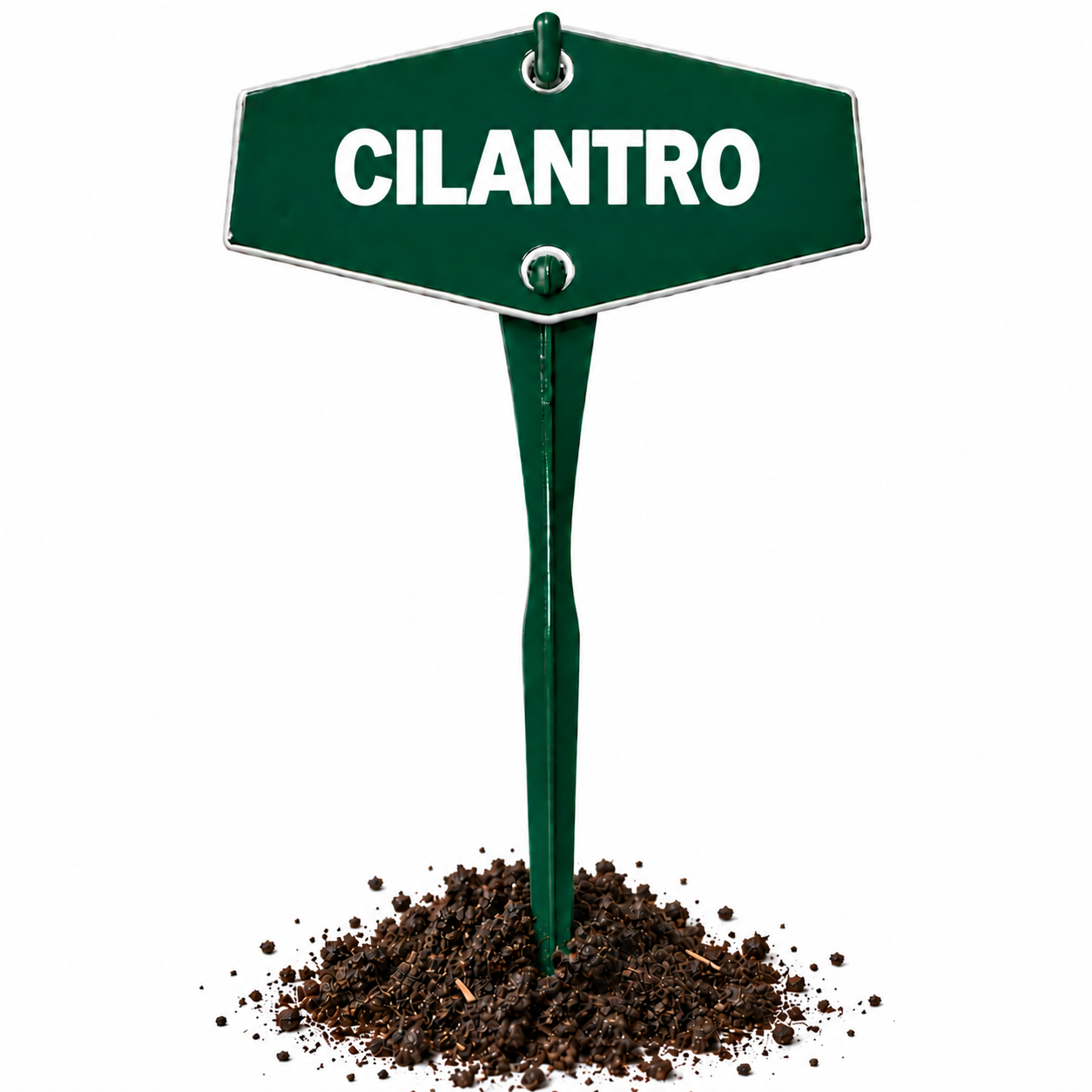 CILANTRO
