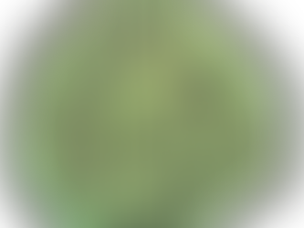 Daily 365 Day Devotional with Tangle HOLLIBAUGH with ORBS created by Zentangle, Inc.