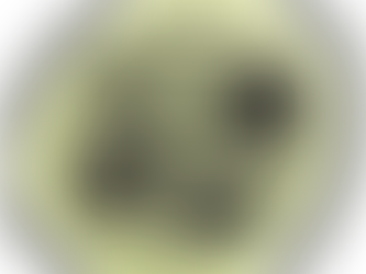 Daily 365 Day Devotional with Tangle CIRQIUTAL created by Zentangle, Inc.