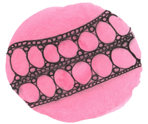 Day 87 - To Believe Without Expectation is Our Calling