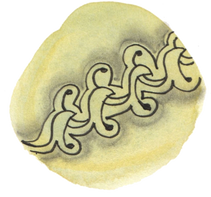 Day 147 - Having the Generous Heart of the Master of the Vine Garden