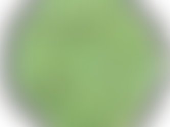 Daily 365 Day Devotional with Tangle STATIC created by Zentangle, Inc.