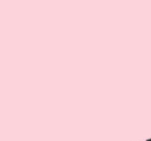Logo for Finding Your Creative Bones Trademark and Cindy Rae Fancher Art, Abstract brown skeleton on 2 shades of pink.
