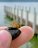 IMG_moule z_doigt.jpg