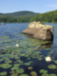 IMG_0943.jpeg