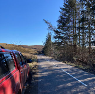 Open road with looming trees about to fall on a blue sky day