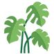 monsteragrow.png