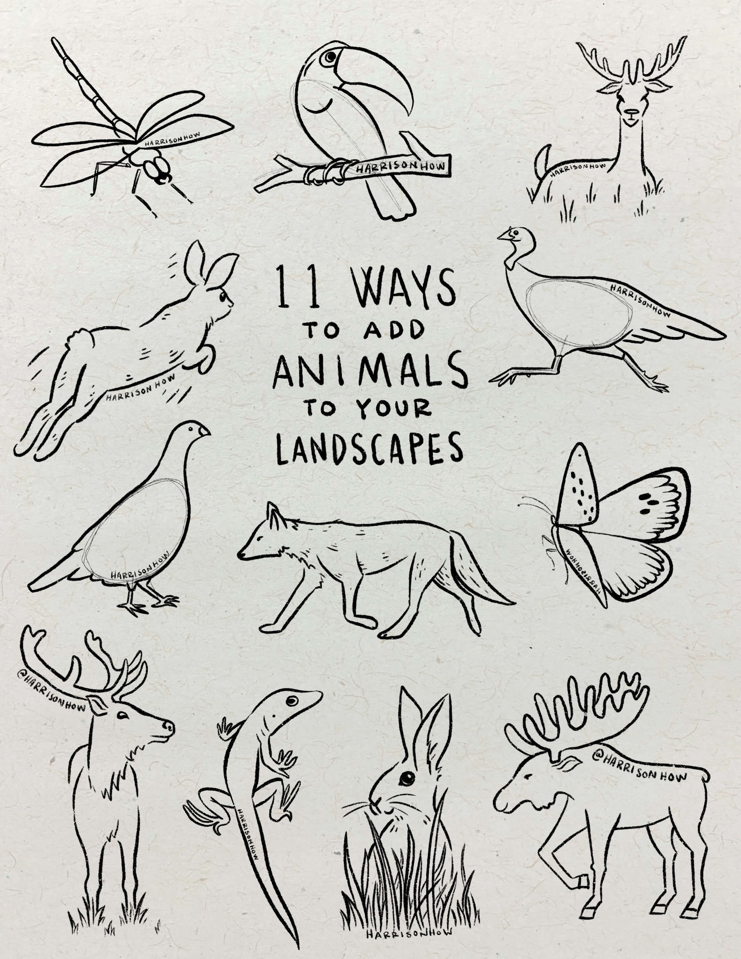 11 Ways to Add Animals to Your Landscapes booklet cover