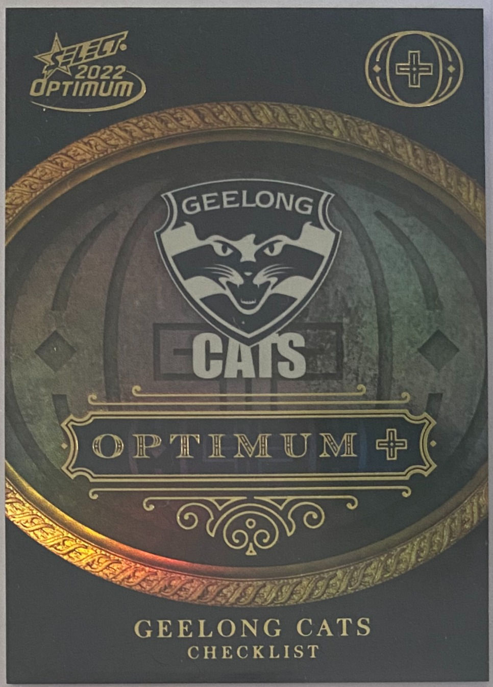 2022 AFL SELECT OPTIMUM PLUS PARALLEL