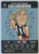 2008 AFL TEAMCOACH SW-04 DALE THOMAS PRIZE CARD