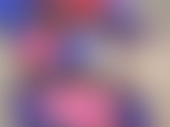 We have supported more children to access education and lunch meals.