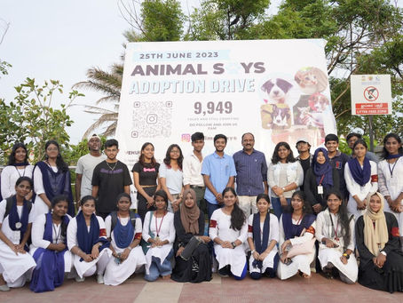 Join Our Cause: Making a Difference in Animal Welfare