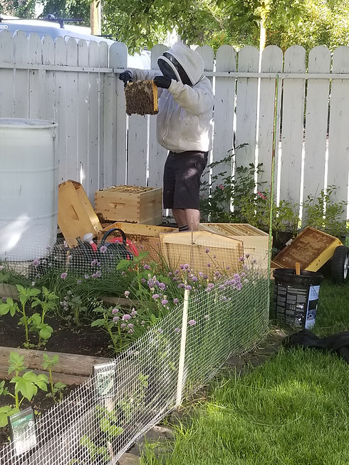 Dave Setting up Hive.jpg