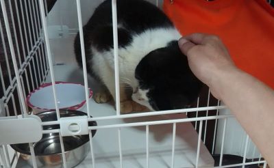 Image does not have an alt attribute. File name: chiko12.jpg