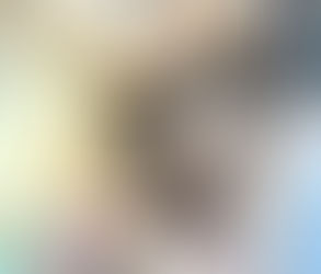 ハナちゃんの里親さんが決まりました(^-^)/