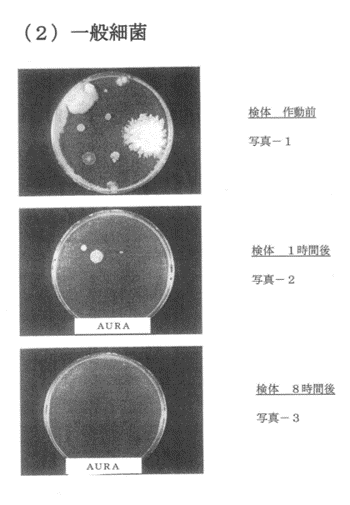 図5