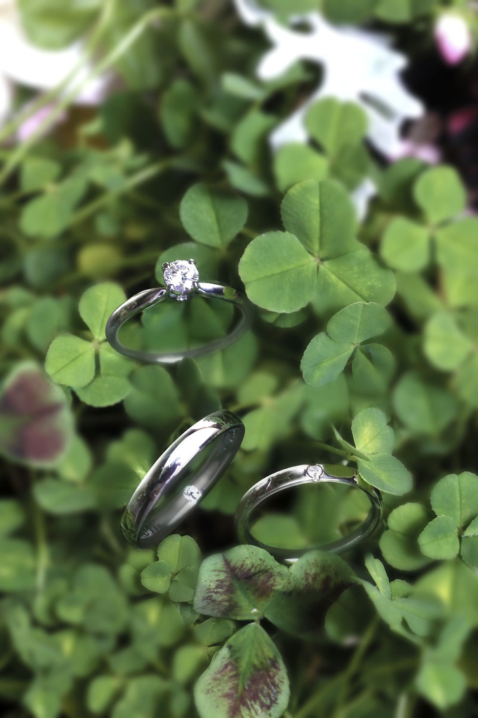CLOVER