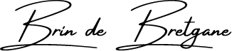 logo brin de bretagne - noir.png