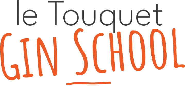 LOGO_GIN_SCHOOL_seul_CMJN-removebg-preview.png