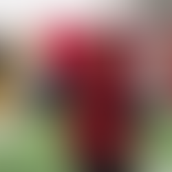 Gators Add Former Arkansas OC To Off-Field Role