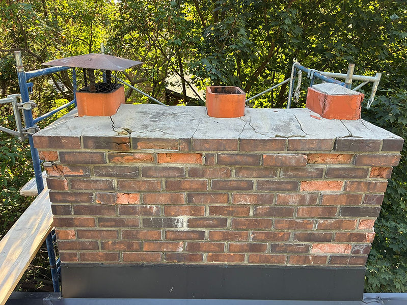 WhatsApp Image 2025-10-15 at 2.56.54 AM.jpeg