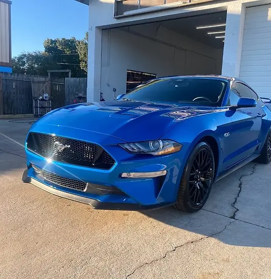 imgi_51_mustang-blue (1).webp