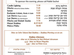 Emor 5786 & Lag B'Omer