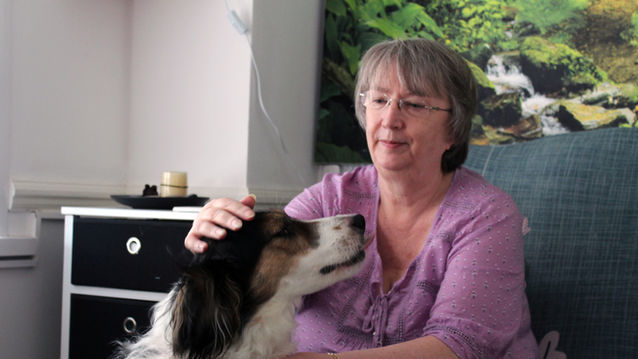 Bay Counselling Services