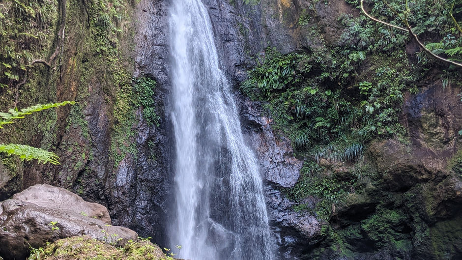 Salty Dawgs Adventures in Dominica