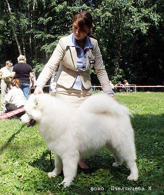 daniel-4