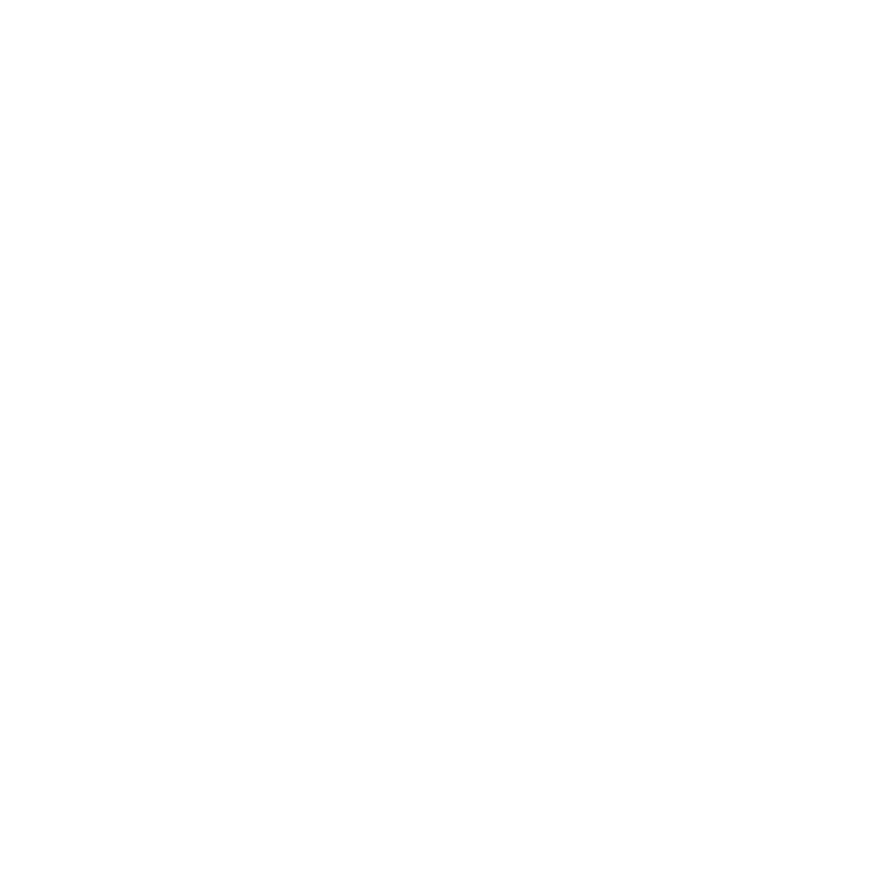 IMG_3958.PNG