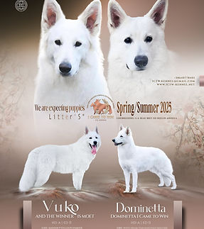 Kennel ICTW litter_edited.jpg