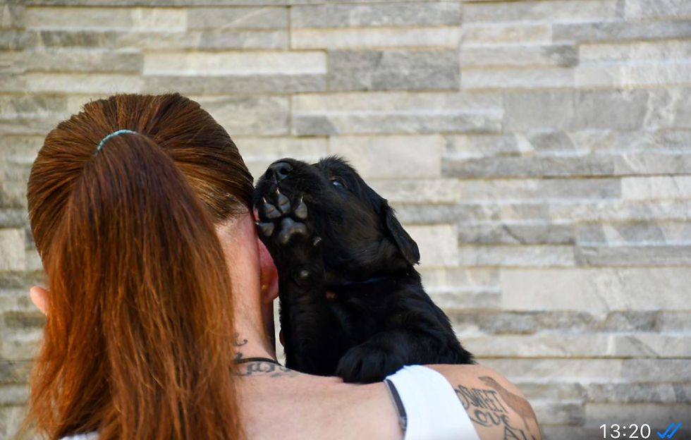 441877860_1129006638381331_6125752193521696522_n