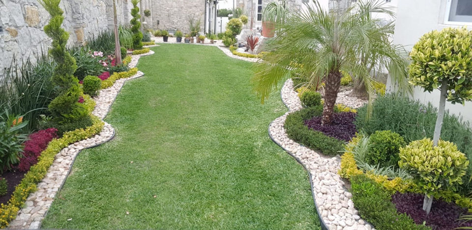Jardín con césped verde, arbustos y plantas; paisajismo y jardinería en casa.