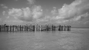 P1235403-25.jpg