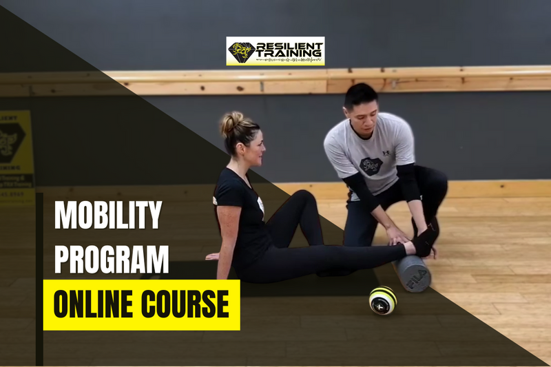 Mobility Program Online Course Resilient Training