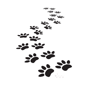 2020-09-14 (2).png