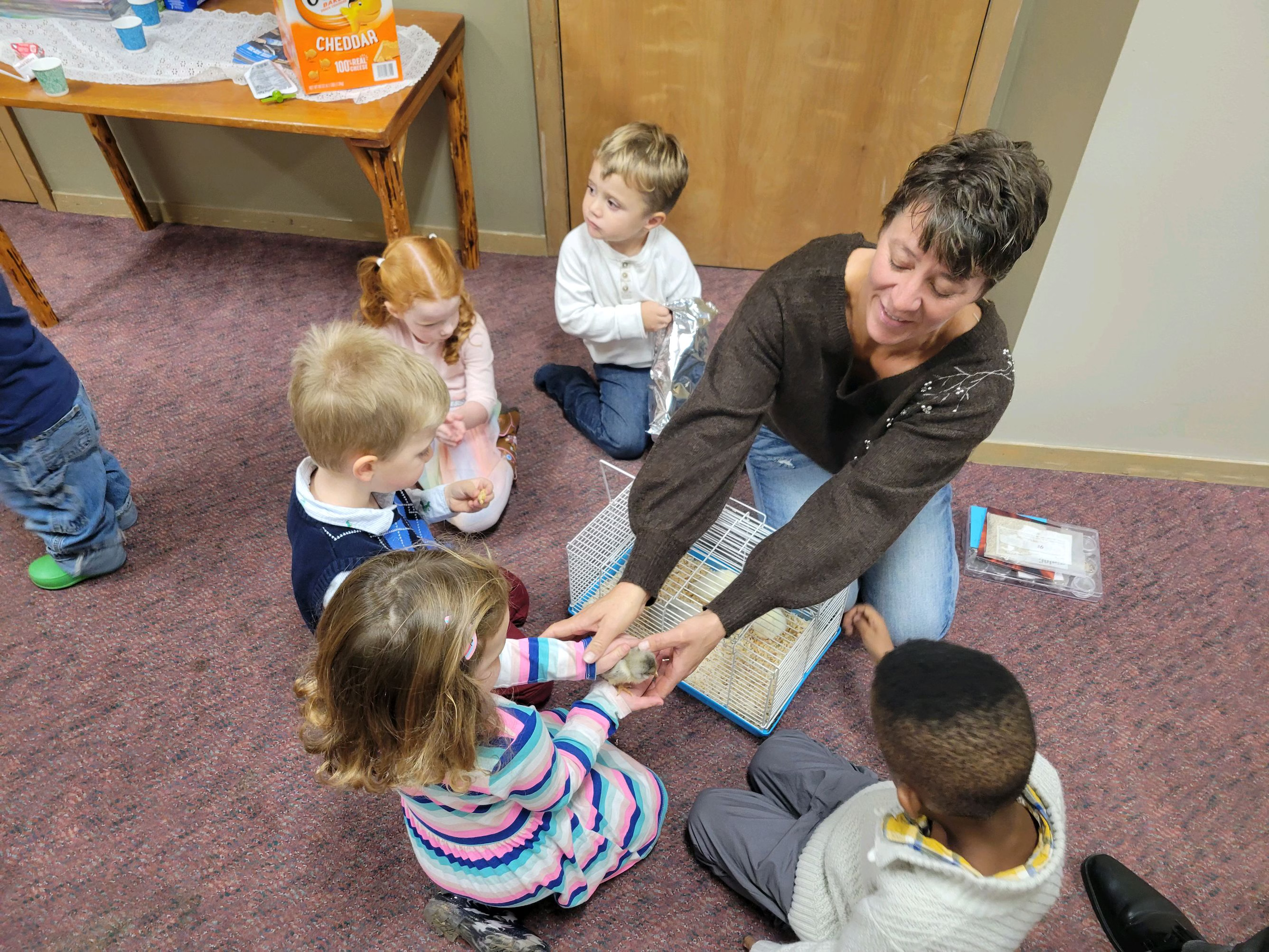 A therapy dog visiting children, illustrating the breed's natural low reactivity and intuitive empathy in high-stimulation environments.