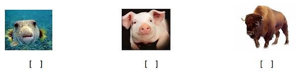 d70.PNG