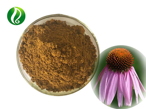 High-Quality-Echinacea-Purpurea-Extract-