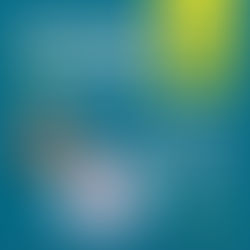 Circuíto de Lives da FSK - Agosto/2020