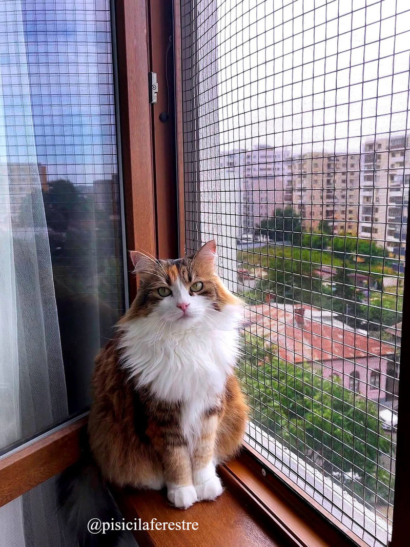Plasă fixă pe tâmplărie, ramă albă