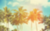 Palm Trees and Faded Sky