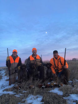 73209652_2643790555855449_1454762271342329856_n