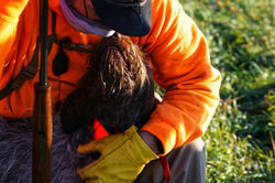 123584212_2955091348058700_7711264706155546119_n