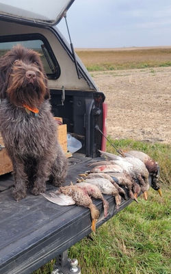 Resized_20251011_171242