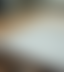 Ink to Life: Unleashing Your Story by Committing It to Paper