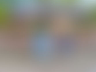 Integral Education Workshop for Teachers and Parents